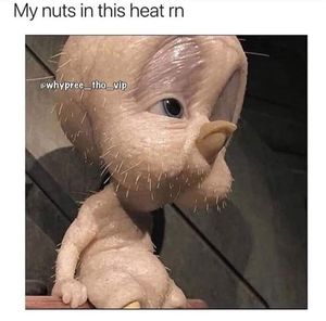 Meet your Posher, Calvin